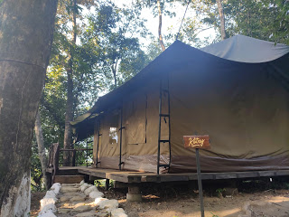 Abor Country River Camp